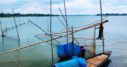 সিরাজগঞ্জে নদী ইজারা নিয়ে বিতর্ক, বিপাকে মৎস্যজীবীরা