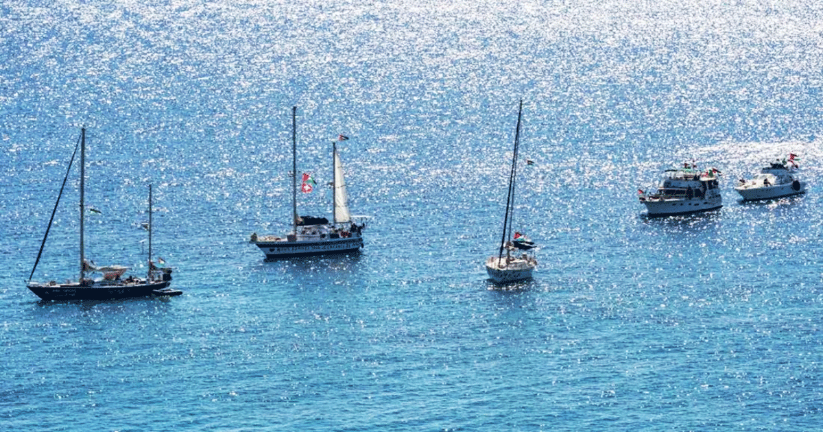 গাজায় যাচ্ছে আরও ১১টি জাহাজ, দেখুন লাইভ ট্র্যাকারে