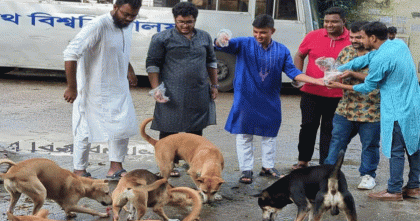 বন্ধ ক্যাম্পাসে অসহায় প্রাণীদের পাশে জবি ছাত্রদল