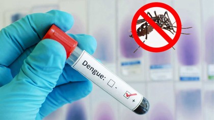 ডেঙ্গুতে আরও একজনের মৃত্যু, হাসপাতালে ভর্তি ৩৭৪