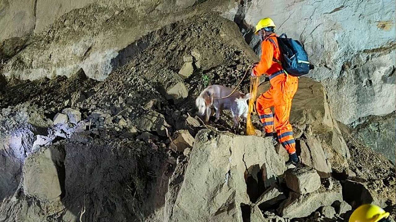 ভারতে পাহাড়ের ওপর থেকে পড়া পাথর চাপায় বাসের ১৮ যাত্রী নিহত