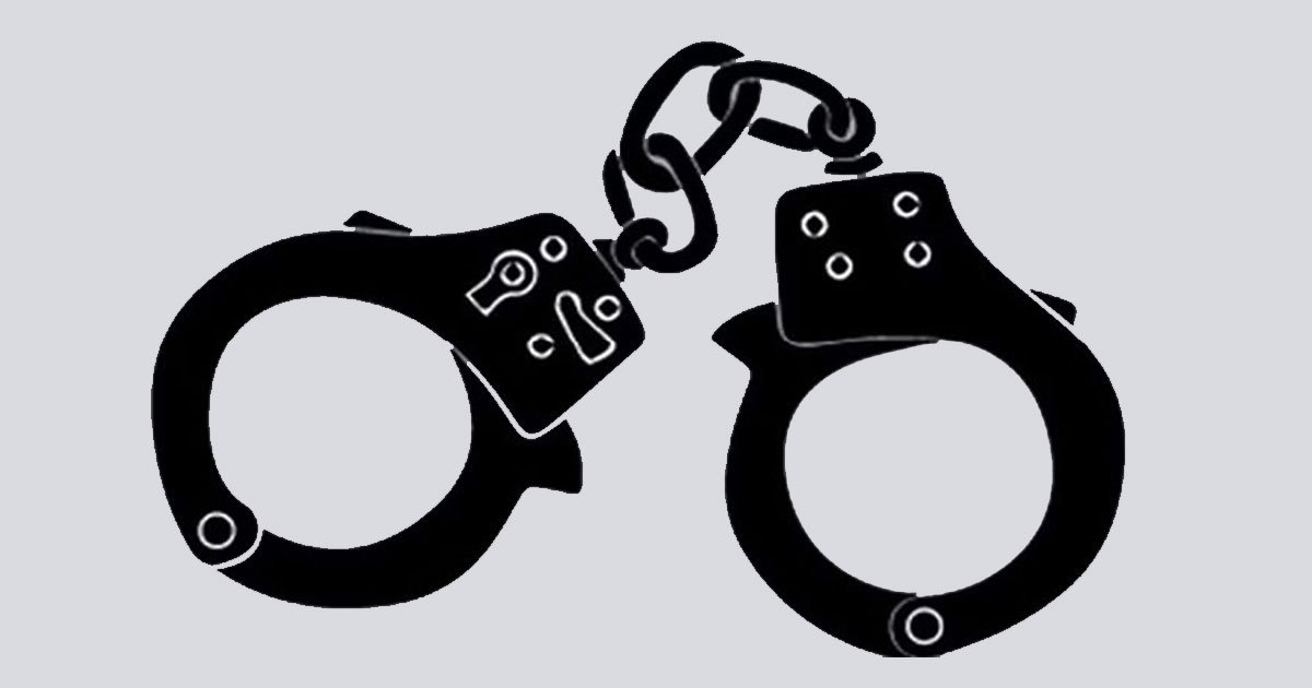 রাজধানীতে বিশৃঙ্খলার পরিকল্পনা, কোটালীপাড়া ছাত্রলীগের সাত নেতাসহ গ্রেপ্তার ১১