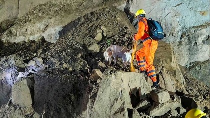 ভারতে পাহাড়ের ওপর থেকে পড়া পাথর চাপায় বাসের ১৮ যাত্রী নিহত