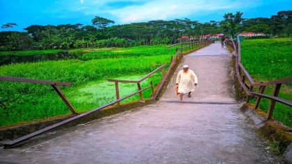 পটুয়াখালীর গলাচিপায় সংযোগ সেতুর বেহাল দশা, জনদুর্ভোগে হাজারো মানুষ 