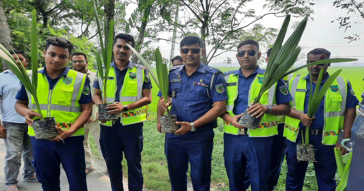 ঝিনাইদহে দুই'শ তাল গাছের চারা রোপণ করে দৃষ্টান্ত স্থাপন করলেন আরাপপুর হাইওয়ে থানার ওসি