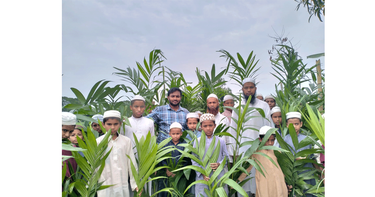 শহীদ আবরার ফাহাদের স্মরণে কিশোরগঞ্জে বৃক্ষরোপণ কর্মসূচি