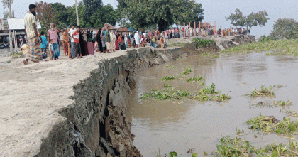 বগুড়ার ধুনটে যমুনার ভয়াবহ ভাঙন