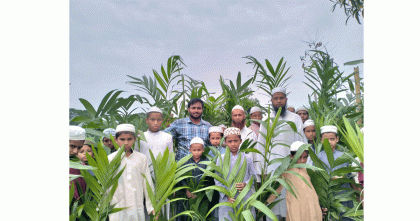 শহীদ আবরার ফাহাদের স্মরণে কিশোরগঞ্জে বৃক্ষরোপণ কর্মসূচি