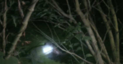 শাজাহানপুরে ডোবা থেকে নিখোঁজ বৃদ্ধের মরদেহ উদ্ধার