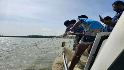 পটুয়াখালীতে মা ইলিশ রক্ষা অভিযানে মৎস্য কর্মকর্তাকে ওপর হামলা