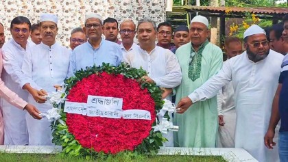 দেশটা এখন মুক্ত হয়েছে, আমরা স্বাধীন দেশে আছি: মির্জা ফখরুল