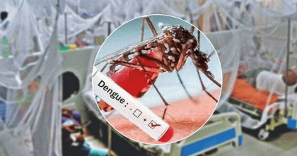 ডেঙ্গু আক্রান্তে বরিশালকে ছাড়িয়ে শীর্ষে ঢাকা