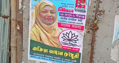 বরাদ্দের আগেই শাপলা প্রতীকে দেয়ালে দেয়ালে এনসিপির মনোনয়ন প্রত্যাশীর পোস্টার