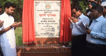 শুধু পরামর্শক ফি দিয়েই এখন পুরো প্রজেক্ট: আসিফ মাহমুদ