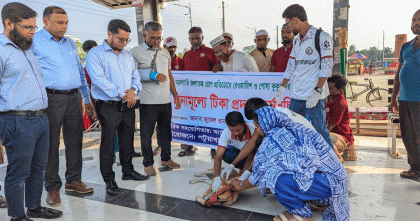 পটুয়াখালীতে জলাতঙ্কমুক্ত শহর গড়তে বেওয়ারিশ কুকুর ও বিড়ালকে টিকাদান শুরু