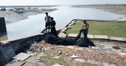 মা ইলিশ সংরক্ষণে মিরসরাইয়ে ৭৫ লক্ষ টাকার জাল ধ্বংস