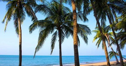 ১ নভেম্বর থেকে সেন্টমার্টিন যেতে পারবেন পর্যটকরা: পরিবেশ উপদেষ্টা