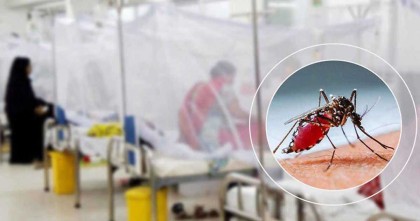 ডেঙ্গুতে আরও দুই জনের মৃত্যু, হাসপাতালে ভর্তি ৭৬২