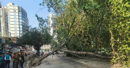 গুলশানে সড়কে গাছ পড়ে যানচলাচল বন্ধ; চার ঘণ্টা পর সচল