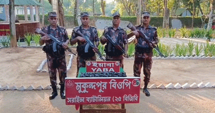  ব্রাহ্মণবাড়িয়ায় ভারতীয় ইয়াবা চালান জব্দ

