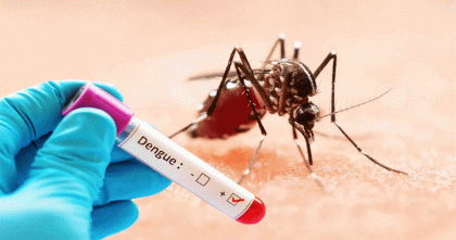 ডেঙ্গুতে আরও চার জনের প্রাণহানি, হাসপাতালে ৮০৩
