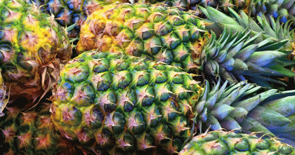 নিয়মিত আনারস খেলে শরীরে যা ঘটে