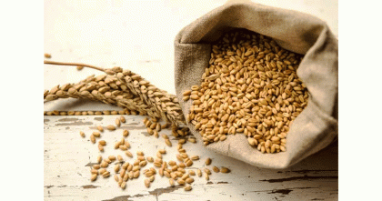 যুক্তরাষ্ট্র থেকে এলো ৫৭ হাজার টন গম