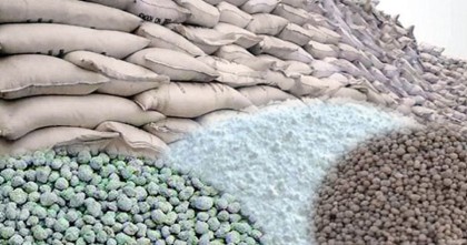 কৃত্রিম সার সংকট;  ডিলারদের সিন্ডিকেটে বিপাকে কৃষক