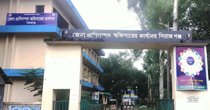 সিরাজগঞ্জে এআই টেকনিশিয়ান পদে ১৪ জনের অবৈধ নিয়োগে কোটি টাকার বাণিজ্যের অভিযোগ