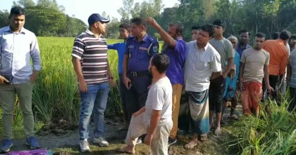 বগুড়ায় ধানক্ষেতে ব্যবসায়ীর লাশ উদ্ধার