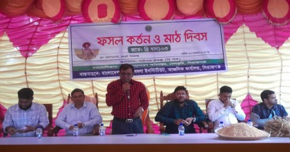 সিরাজগঞ্জ বেলকুচিতে ব্রি ধান-১০৩ জাতের শস্য কর্তন ও মাঠ দিবস অনুষ্ঠিত