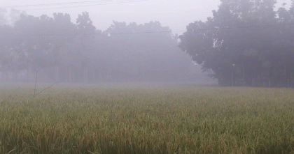 পঞ্চগড়ের তাপমাত্রা নামলো ১২ ডিগ্রিতে