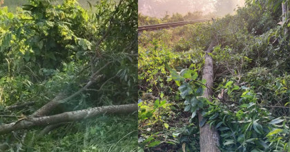 ফেনীতে রেললাইনে ফের নাশকতার চেষ্টা