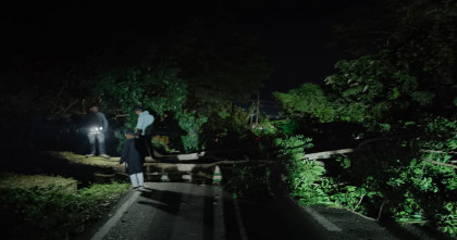 খাগড়াছড়িতে গাছ কেটে দুর্বৃত্তদের সড়ক অবরোধ