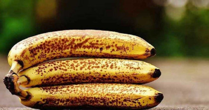 পাকা কলার দাগেই ক্যানসার প্রতিরোধের শক্তি লুকিয়ে আছে