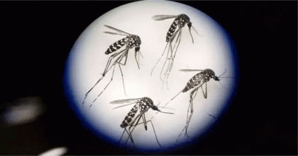 ডেঙ্গুতে দীর্ঘ হচ্ছে লাশের মিছিল