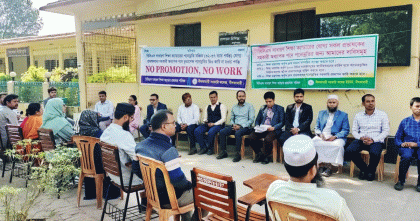 নীলফামারীতে পদোন্নতি বঞ্চিত প্রভাষকদের কর্মবিরতি ও অবস্থান কর্মসূচি