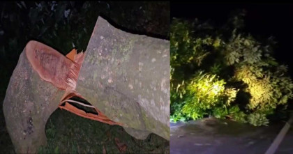 কিশোরগঞ্জে সড়কে গাছ কেটে অবরোধ, একই রাতে গ্রামীণ ব্যাংকে অগ্নিসংযোগের চেষ্টা