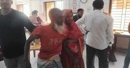 মাদারীপুরের শিবচরে পাগলা কুকুরের কামড়ে আহত ১৫