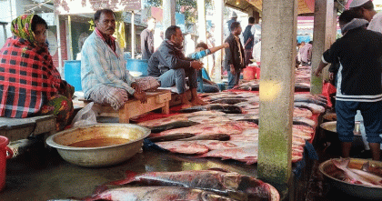 জয়পুরহাটে বসেছে ঐতিহ্যবাহী মাছের মেলা