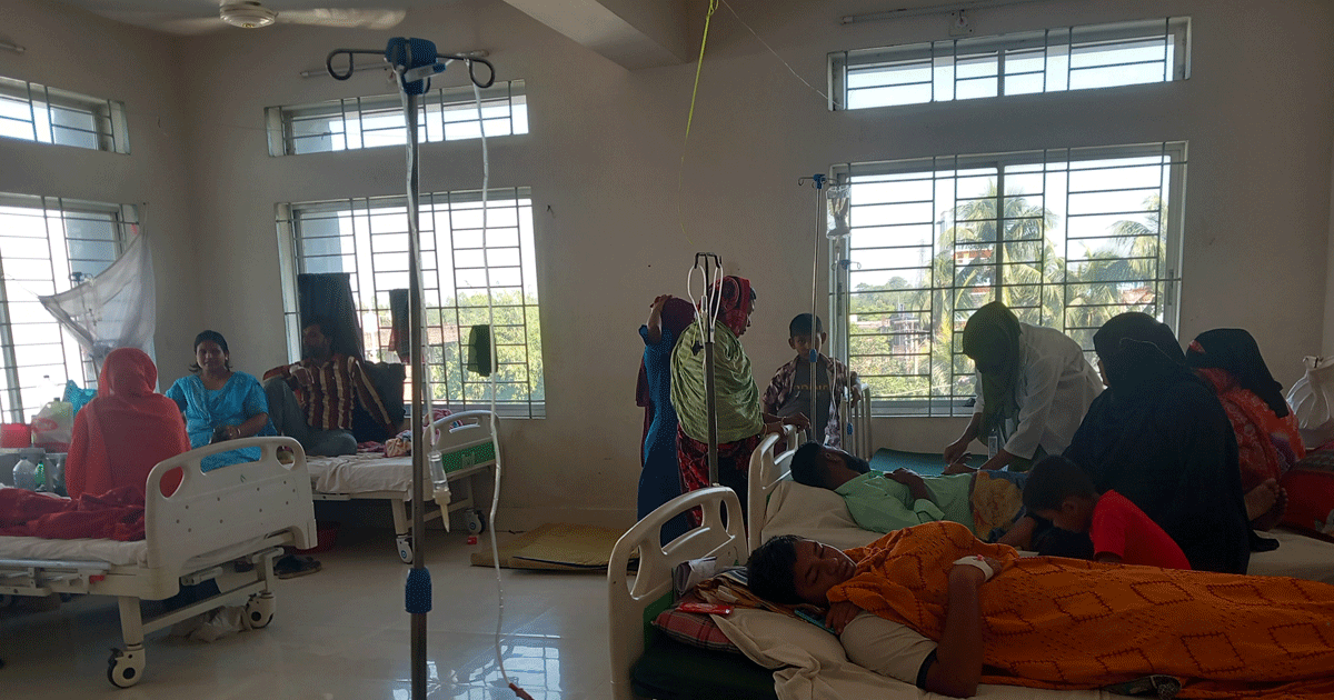 কিশোরগঞ্জের ভৈরবে বাড়ছে ডেঙ্গু আক্রান্তের সংখ্যা