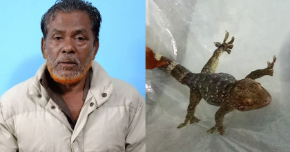 চুয়াডাঙ্গায় র‍্যাবের অভিযানে তিন তক্ষকসহ পাচারকারী আটক