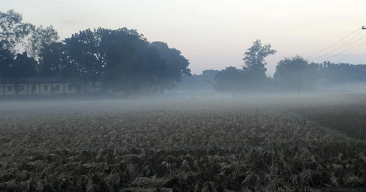 তেঁতুলিয়ায় বাড়ছে শীতের দাপট