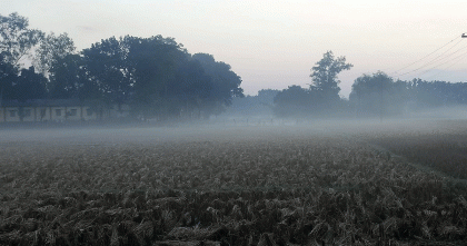 তেঁতুলিয়ায় বাড়ছে শীতের দাপট