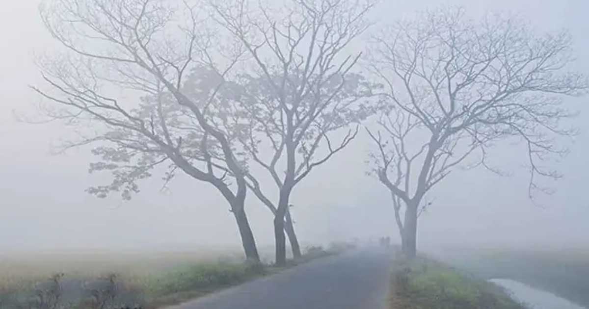 পঞ্চগড়ে শীতের প্রকোপ, তাপমাত্রা ১২ ডিগ্রিতে