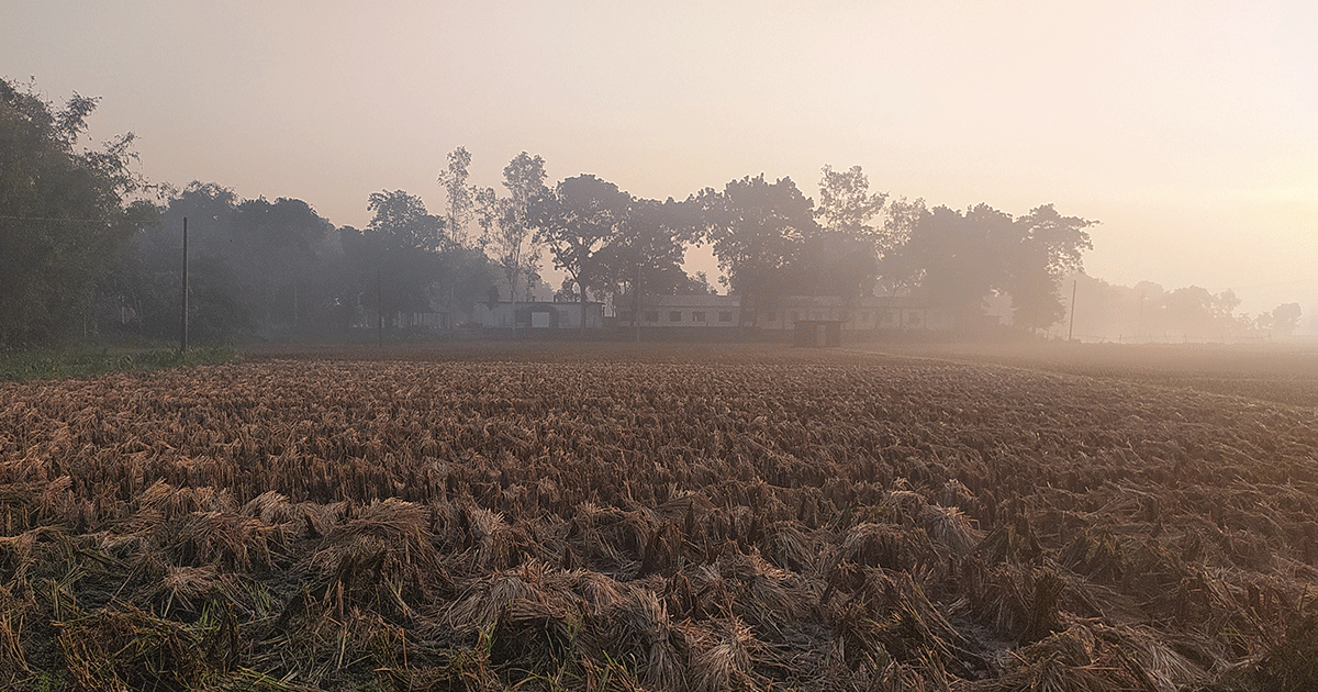 পঞ্চগড়ে তাপমাত্রা নামলো ১২ ডিগ্রিতে