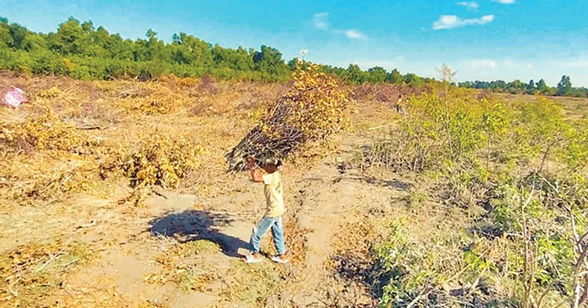 সন্দ্বীপে বিএনপি নেতা ইদ্রিস আলমের বিরুদ্ধে সরকারি জমি দখলের অভিযোগ