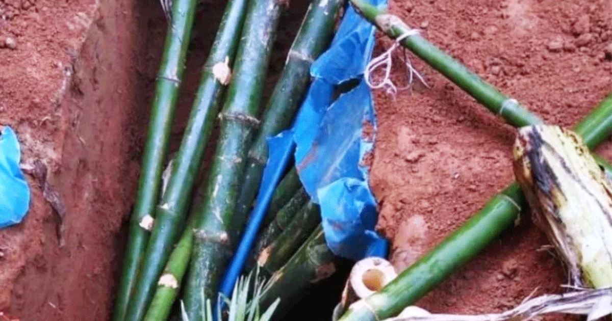 মায়ের মরদেহ কবর থেকে তুলে ঘরে লেপ–কাঁথায় ঢেকে রাখলো ছেলে