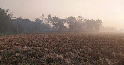 পঞ্চগড়ে তাপমাত্রা নামলো ১২ ডিগ্রিতে
