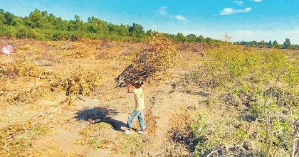 সন্দ্বীপে বিএনপি নেতা ইদ্রিস আলমের বিরুদ্ধে সরকারি জমি দখলের অভিযোগ